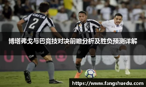 博塔弗戈与巴竞技对决前瞻分析及胜负预测详解